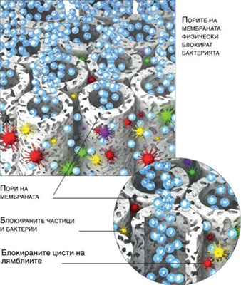 Как капилярнат мембрана пречиства частиците